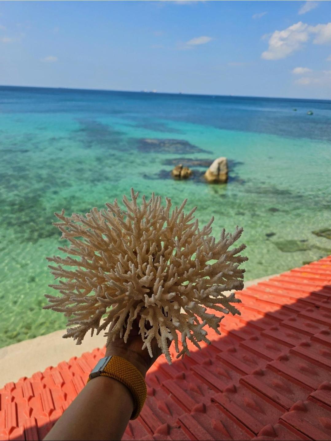 Mui Dinh Hotel Phan Rang Buitenkant foto