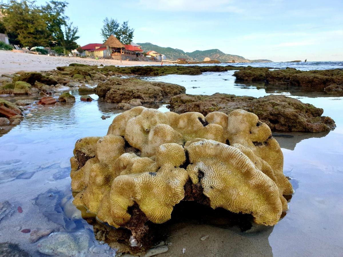 Mui Dinh Hotel Phan Rang Buitenkant foto